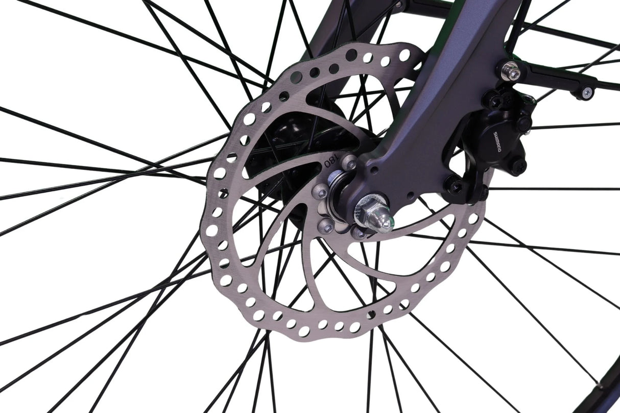 Altec Atlanta e-bike 28 inch HYD Middenmotor